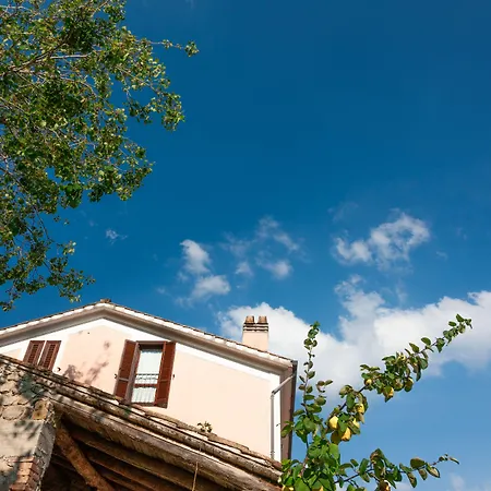 La Vecchia Quercia
