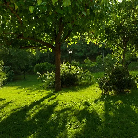 La Vecchia Quercia Lantgård San Cipriano Picentino