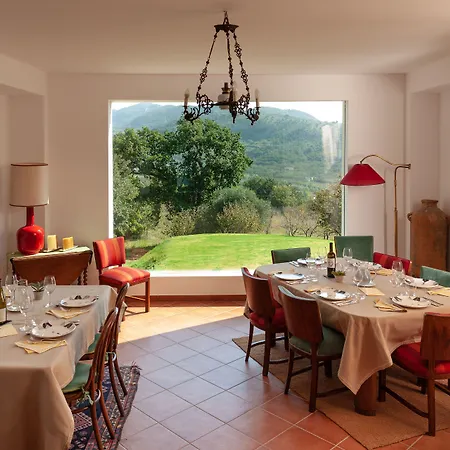La Vecchia Quercia San Cipriano Picentino