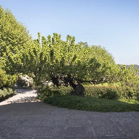 La Vecchia Quercia Lantgård San Cipriano Picentino