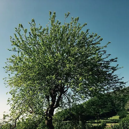 La Vecchia Quercia Çiftlik konaklama San Cipriano Picentino