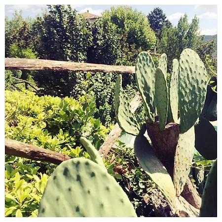 La Vecchia Quercia Vakantieboerderij *