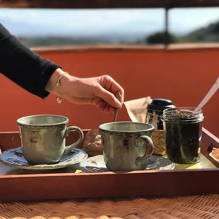 La Vecchia Quercia * San Cipriano Picentino