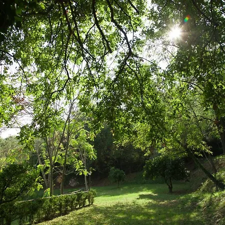 Vakantieboerderij La Vecchia Quercia